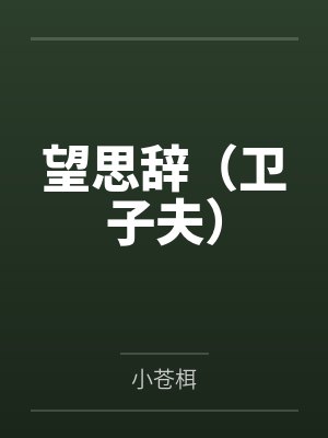 望思辞（卫子夫）笔趣阁无弹窗封面