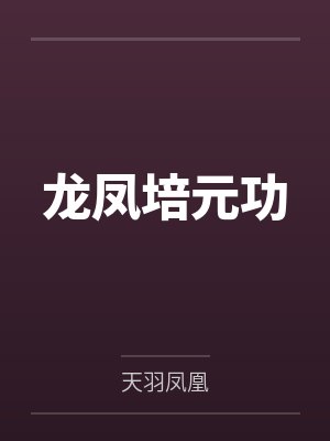 龙凤培元功封面